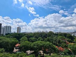 The Scotts Tower (D9), Condominium #463471591